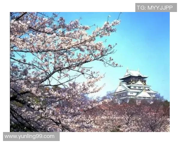 今天大阪樱花与大阪钢巴激战正酣精彩赛况全程回顾与分析